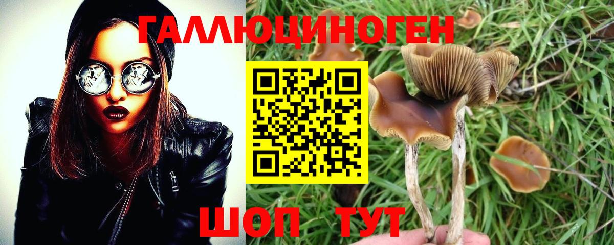 Псилоцибиновые грибы мухоморы Сухой Лог