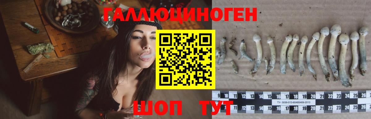 Сухой Лог  Галлюциногенные грибы мицелий  Вход с VPN 